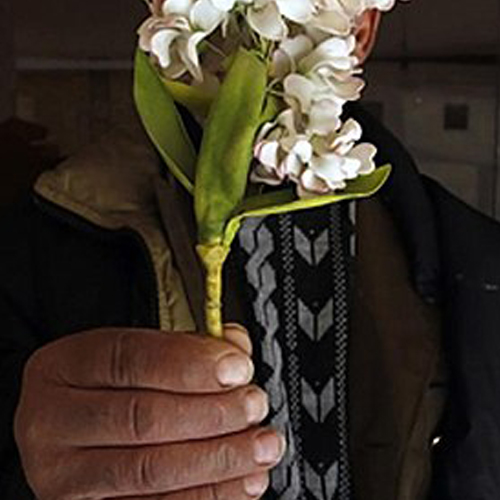مُری زن می‌خواد