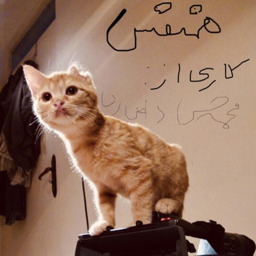 همنفس