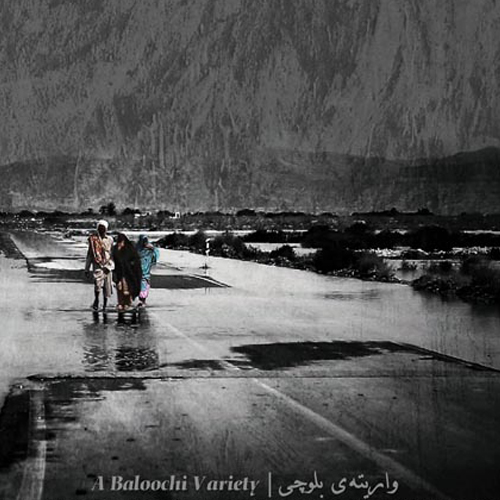 واریته‌ی بلوچی